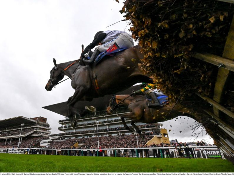 Cheltenham Day 2: All the local runners and riders