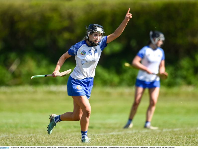 Three Waterford minors selected in Camogie team of the year