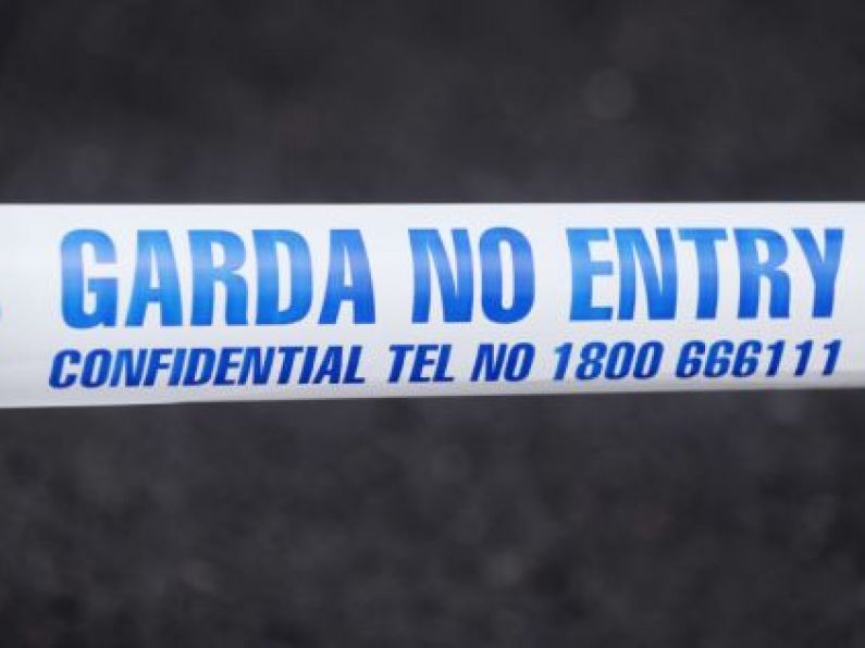 Gardaí launch murder investigation into death of Wexford teenager