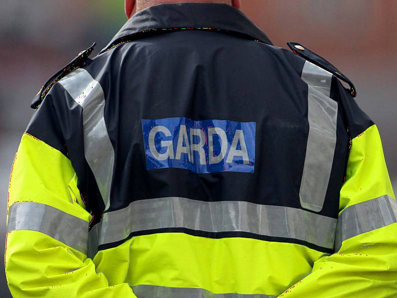 Woman and her dog disturb intruder during burglary in Waterford