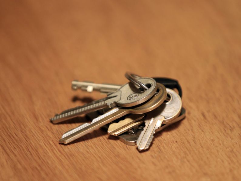 Found: Key ring with two keys in Newtown, Waterford.