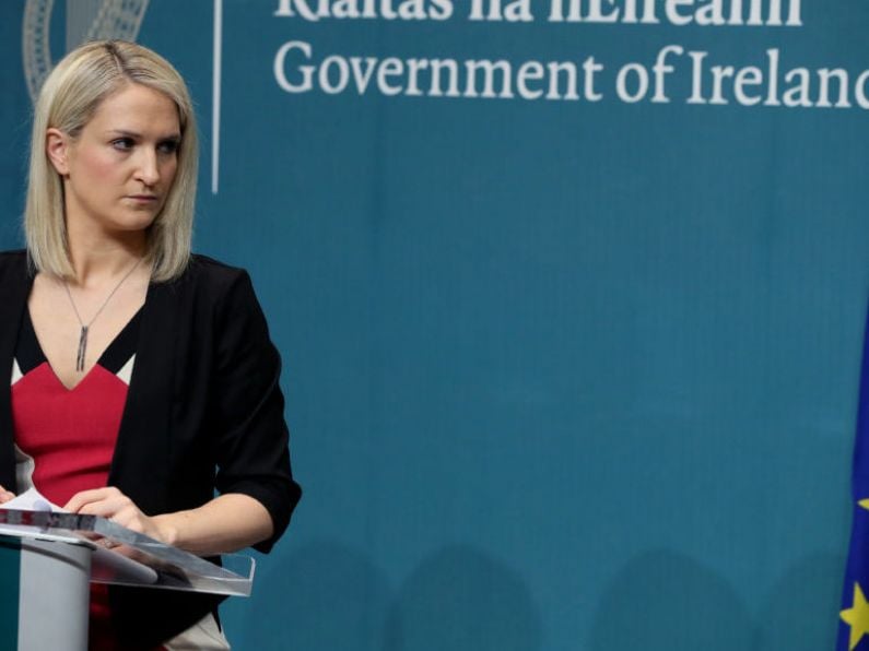 'Sinister' figures leading young people into crime, says McEntee