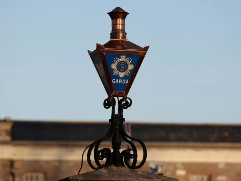 Waterford Garda Watch: burglary, theft, and stabbings