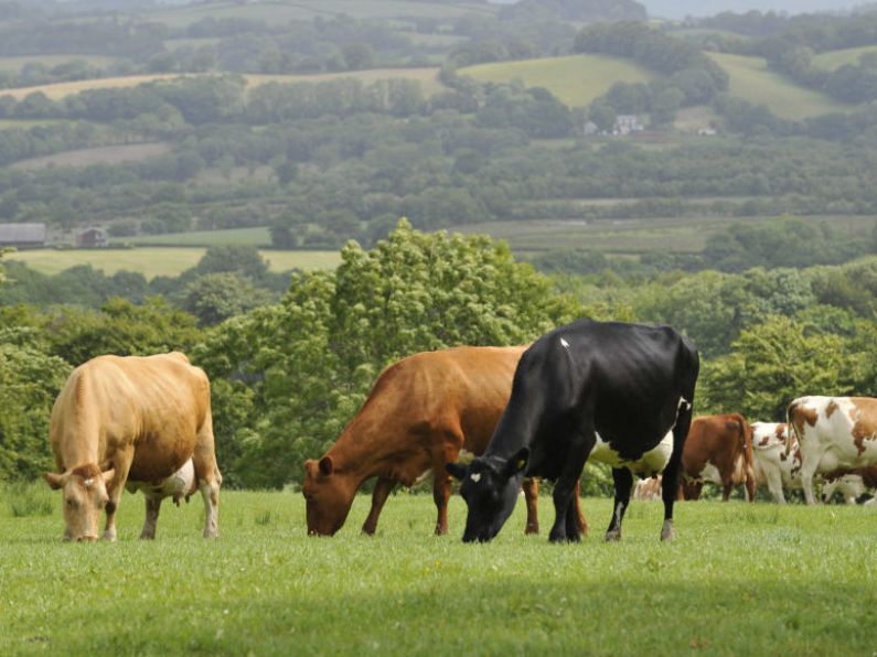 Huge jump in land prices in County Waterford