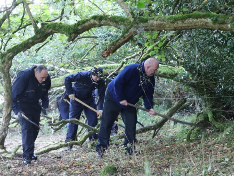 Gardaí found 'nothing of evidential value' in woodland search for missing women