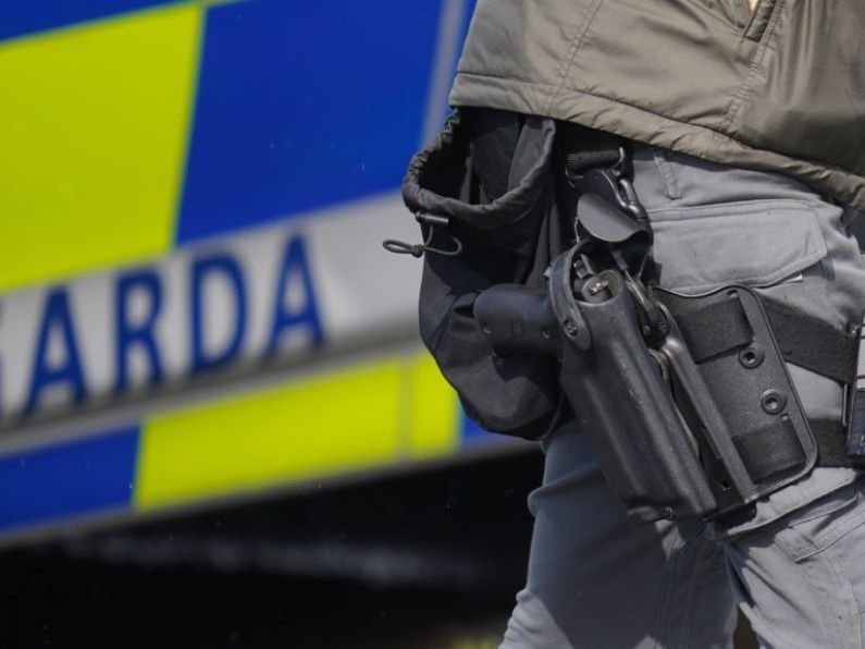 Pitbull terrier shot by gardaí after attacking people in Cork