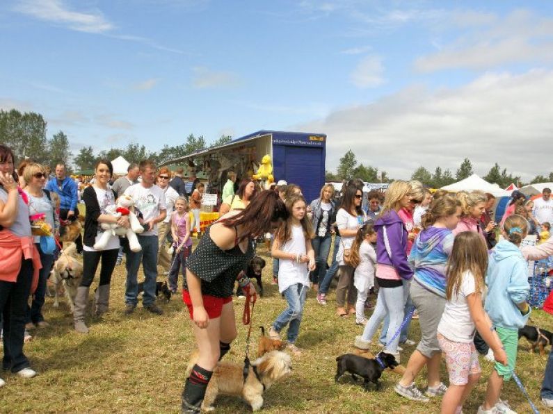 Tips for the Most Appropriately Dressed Lady at the Dungarvan Show