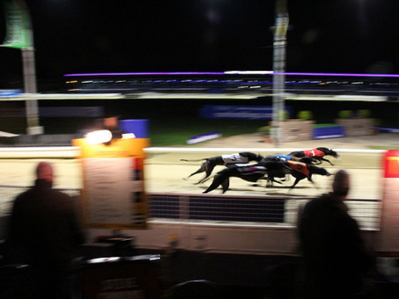 Win passes to Kilcohan Park Greyhound Stadium's Family Fun Evening