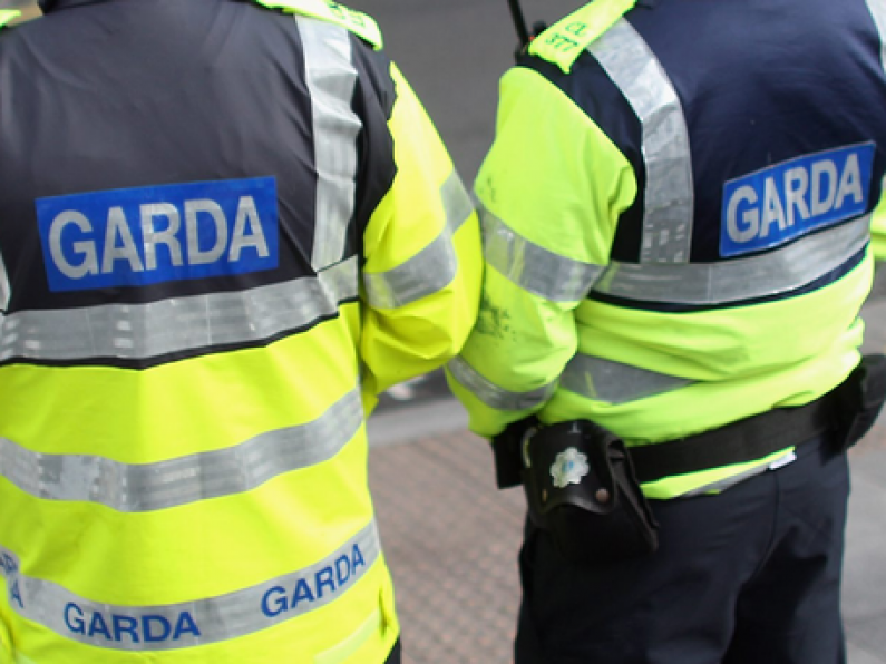 State spent €6.3m to settle claims against Gardaí