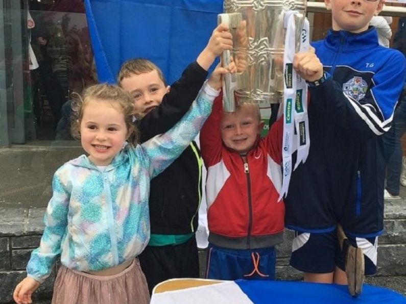 'Liam MacCarthy' Cup tours Waterford