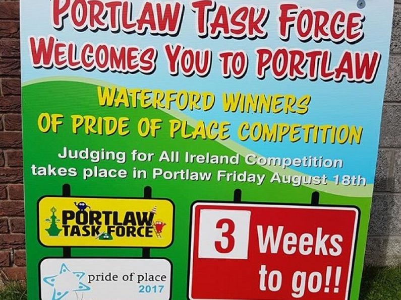 Portlaw representing Waterford in National Pride of Place Awards