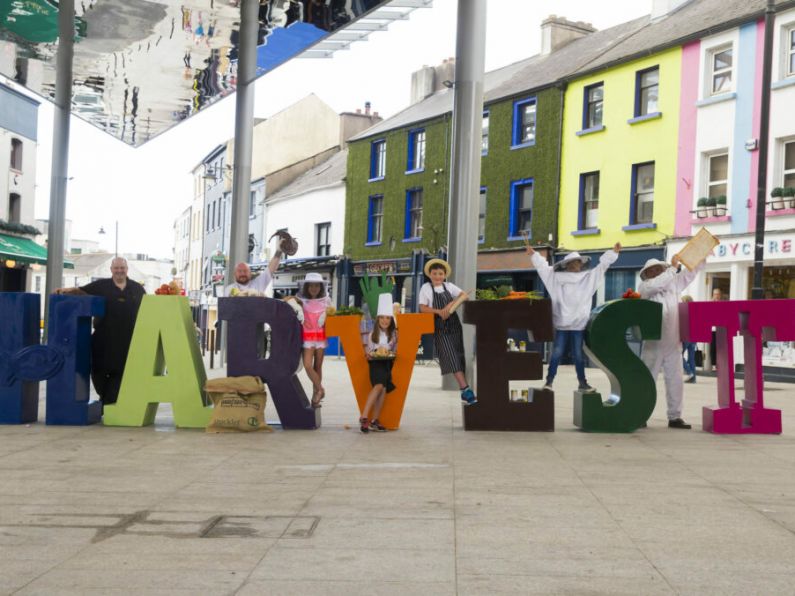 Waterford Harvest Festival has something to suit all tastes buds