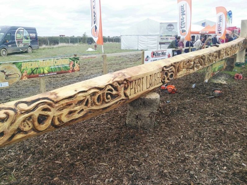 Waterford woodcarver chainsaws his way into the world records
