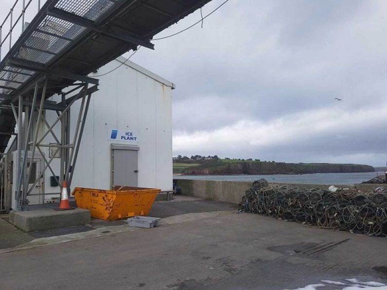 Dunmore Ice Plant closed over E-coli fears