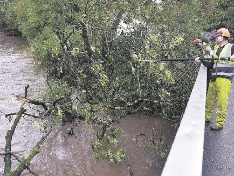 Waterford City and County Council staff still dealing with aftermath of Ophelia.