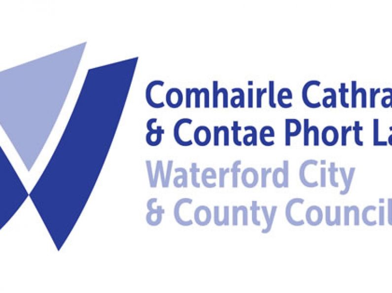 Waterford Council says €1.5m van fleet to be in use by next week