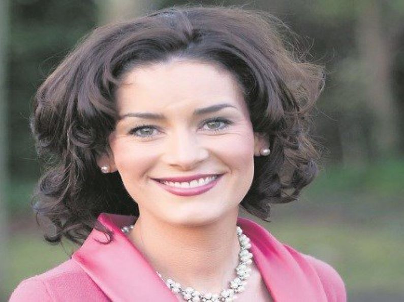 Fine Gael activist at centre of twitter abuse storm unlikely to face any sanction until New Year
