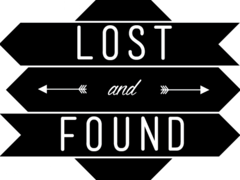 Lost: Black Terrier