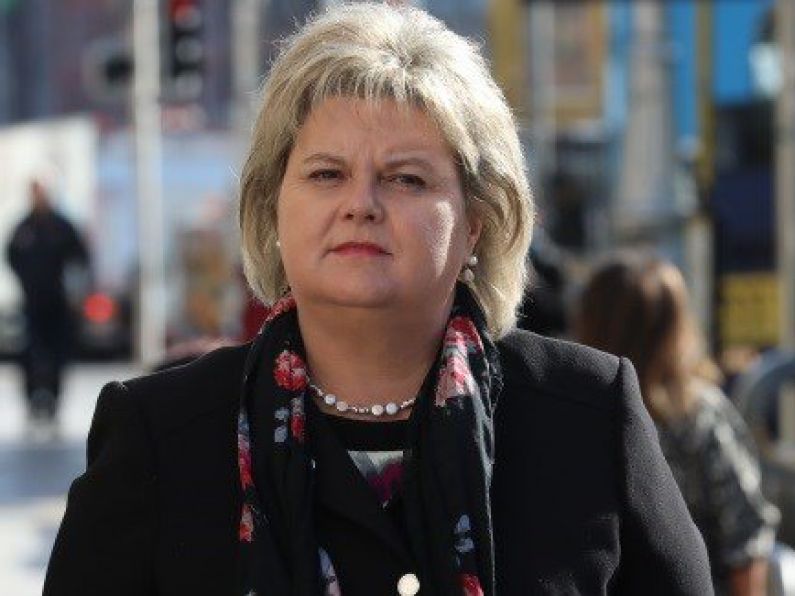 Win for Angela Kerins would undermine 'core democratic principle', court told