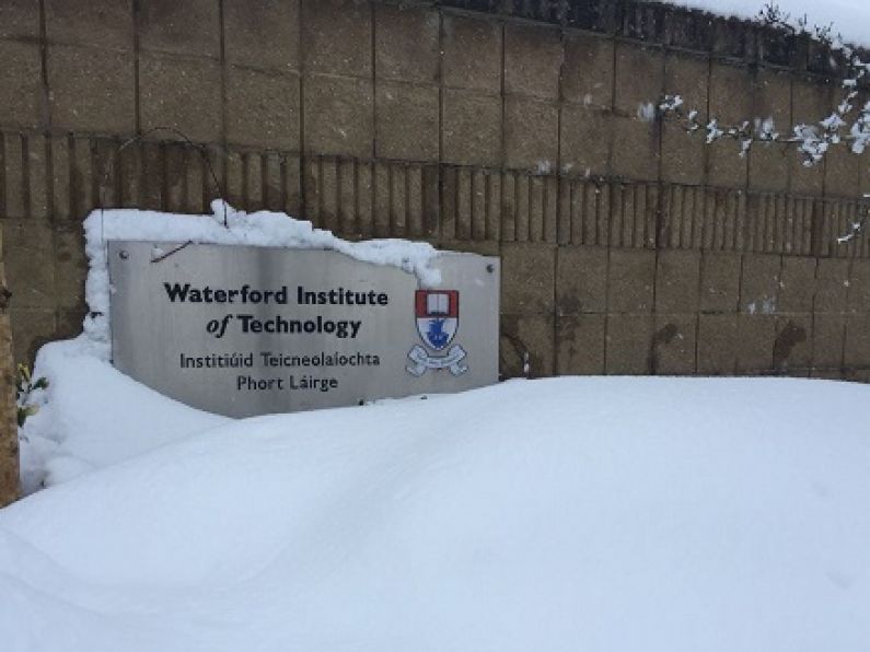 Storm Emma puts WIT students in the ‘Moodle’ to study
