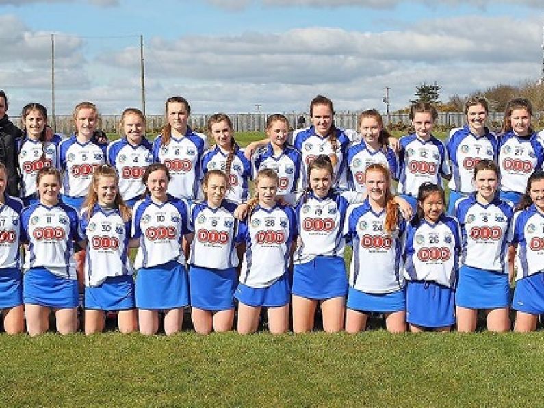 Defeat for Waterford in the Minor Camogie Championship