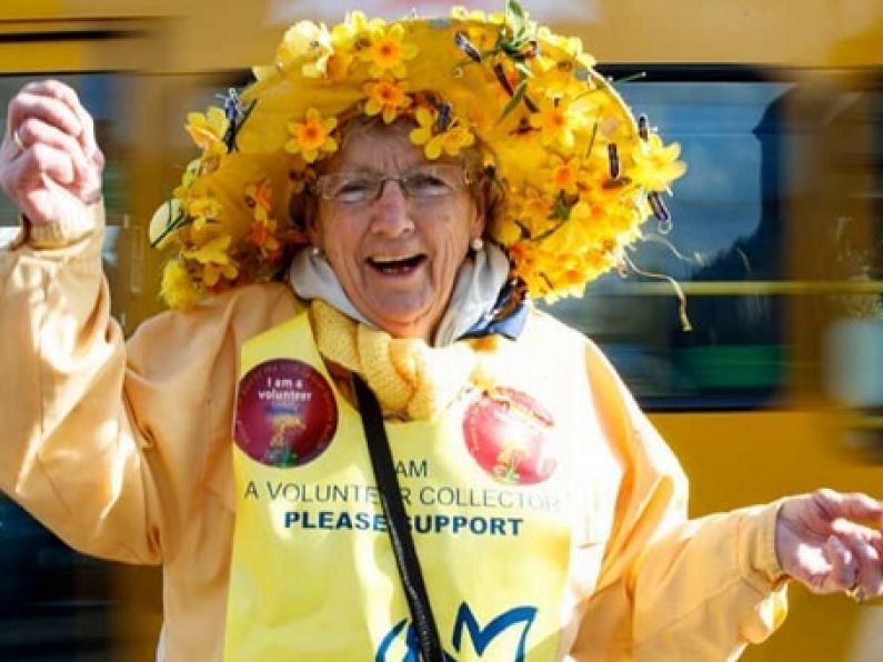 THE VOLUNTEERS: THE POWER BEHIND DAFFODIL DAY