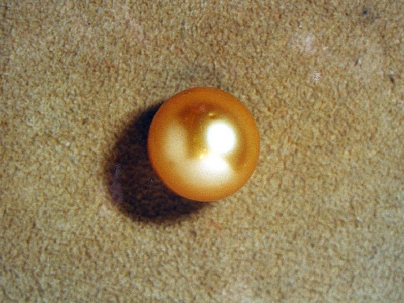 Lost: a pearl stud earring