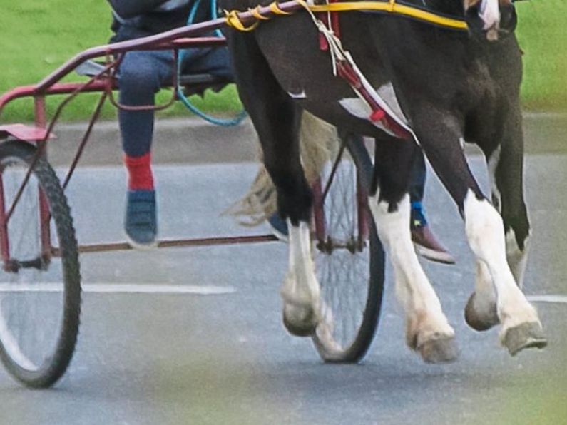 Renewed calls for sulky regulation after horse collapses in Waterford