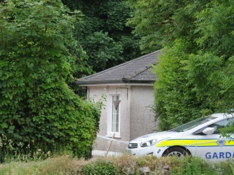 Man hacked to death in Cork home