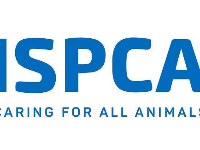 Over 1,250 animals went into care of ISPCA last year.