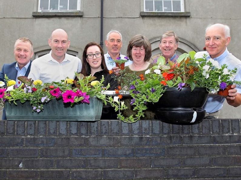 Waterford City 'In Bloom'