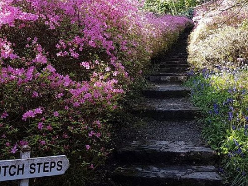 Mount Congreve to open 7 days a week for the summer season