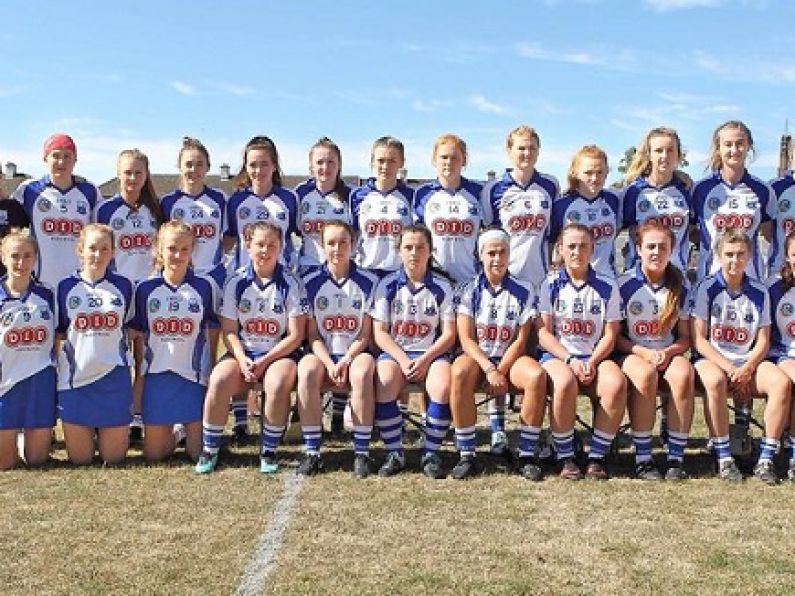 Waterford lose out to Tipp in All-Ireland Senior Camogie Quarter Final