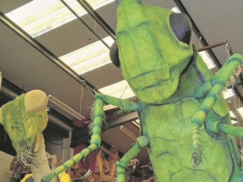 It's a bug's life for the 2018 Spraoi parade