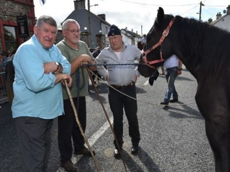 Traffic restrictions in place for Tallow Horse Fair.