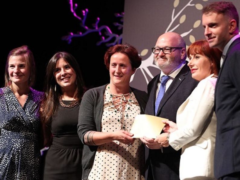 Waterford Walls festival scoops two national awards