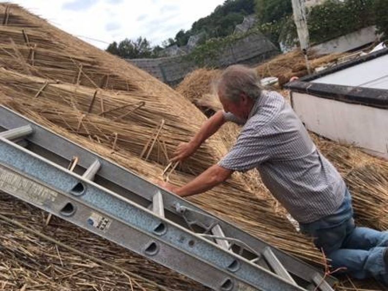 Members of the public will be able learn about traditional thatching in Waterford this weekend.