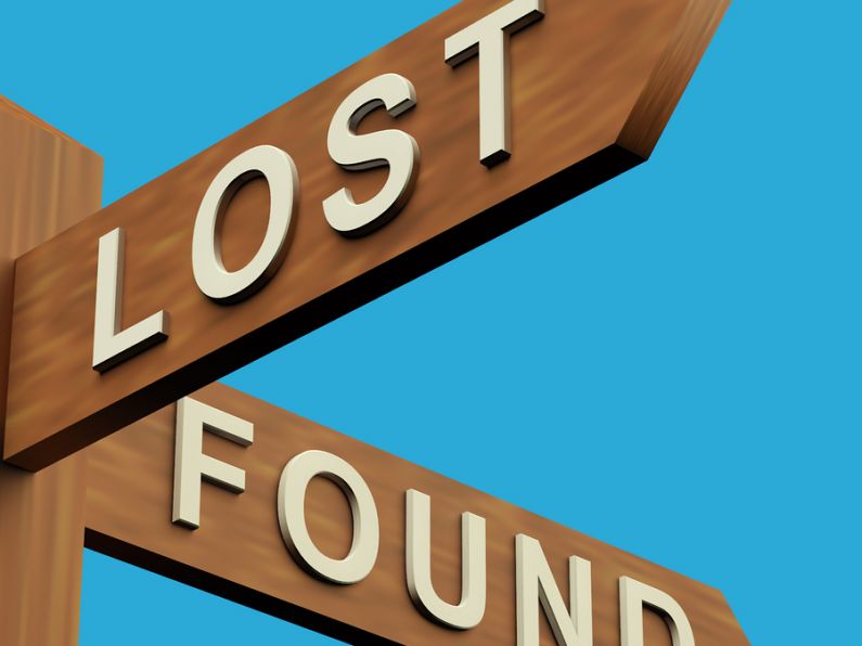 Lost: hall door key