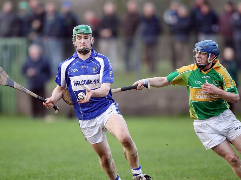Ballinameela qualify for Munster Junior Club hurling Final after hard fought win in Fraher Field