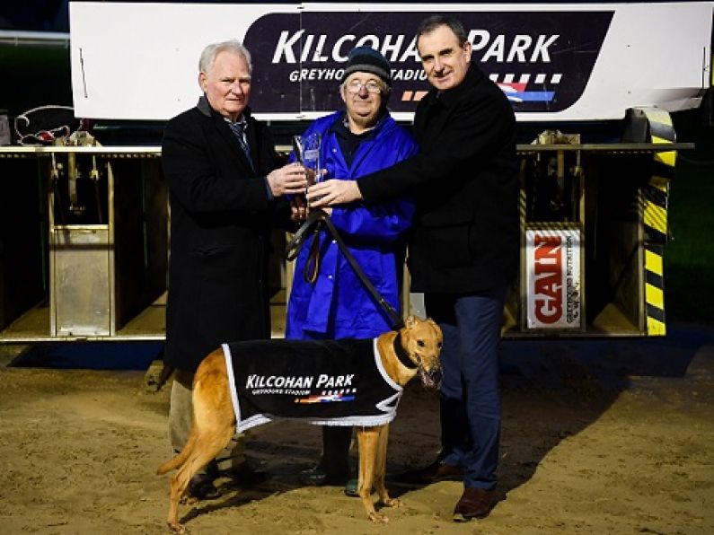 Early morning greyhound racing starts in Waterford