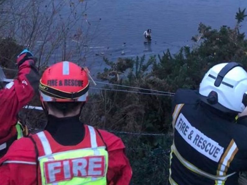 Waterford firefighters rescue dog from reservoir