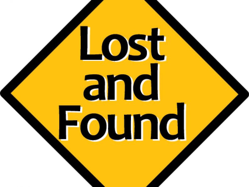 Found: Black Terrier/ Spaniel Cross