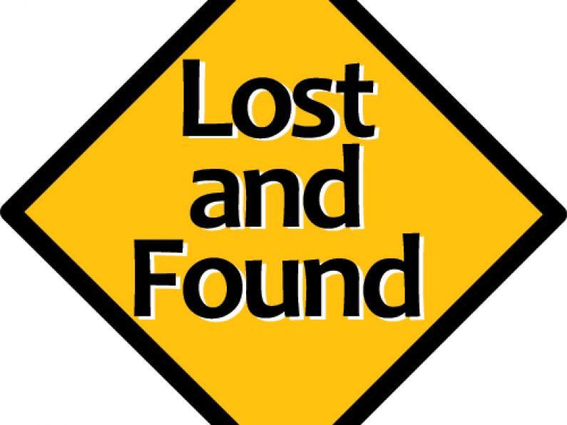 Lost: Border Collie