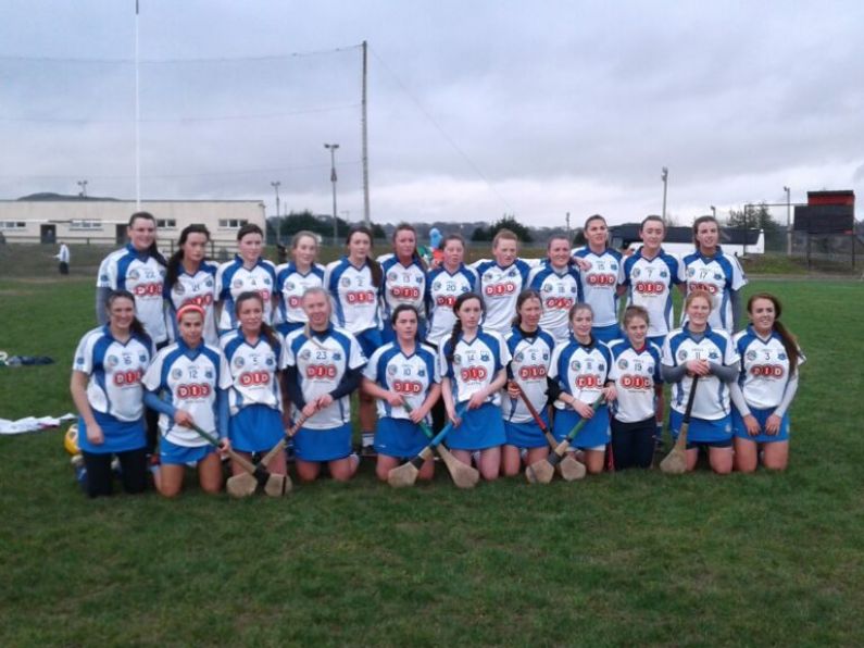 Must-win match for Déise camogie team