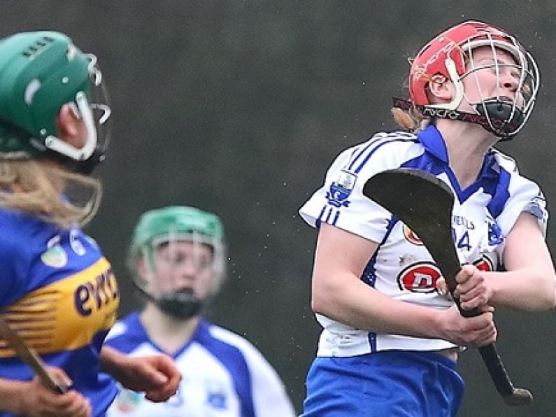 Waterford lose out to Tipp in Senior Camogie League