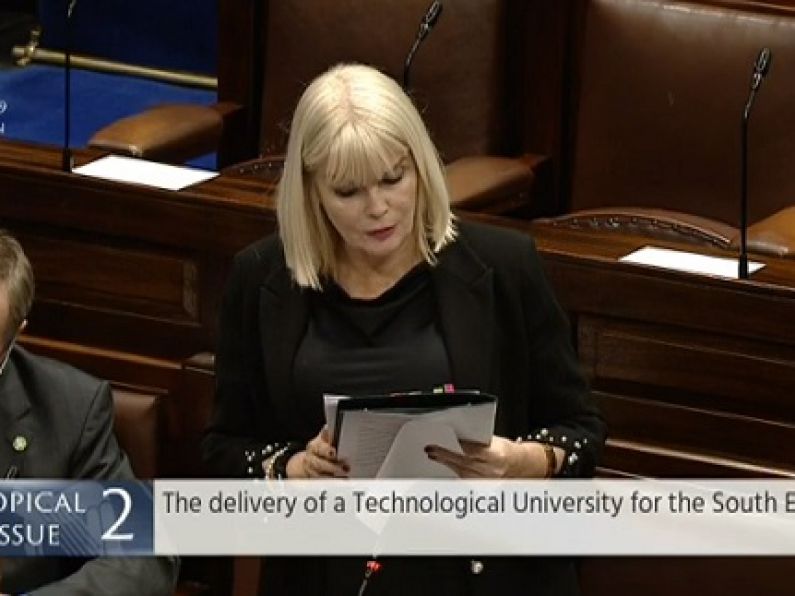 Minister says she's still waiting on application for Technological University of the South East.