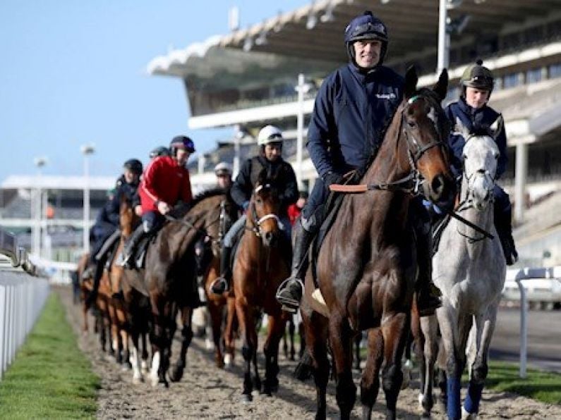 The wait for the 2019 Cheltenham Festival is almost over.