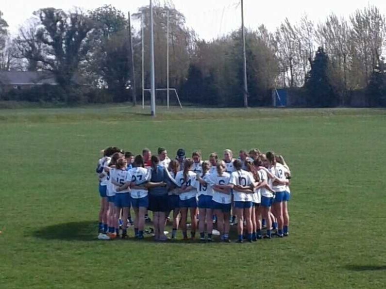 Five-star display as Déise ladies footballers march through to Division 2 League Final