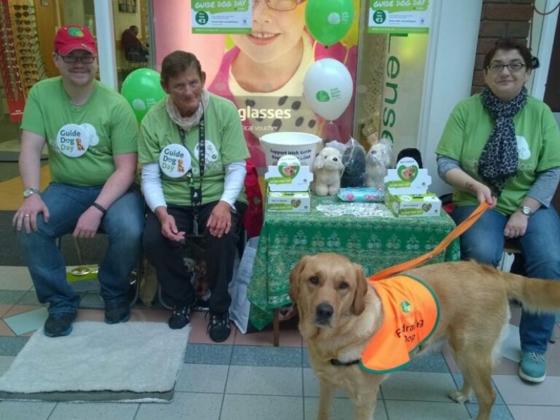 Find out about National Guide Dog Day