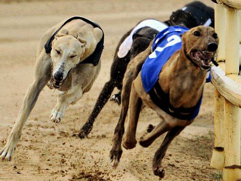 Déise Today, 27th June: Reaction to the RTE Investigates into the Greyhound industry